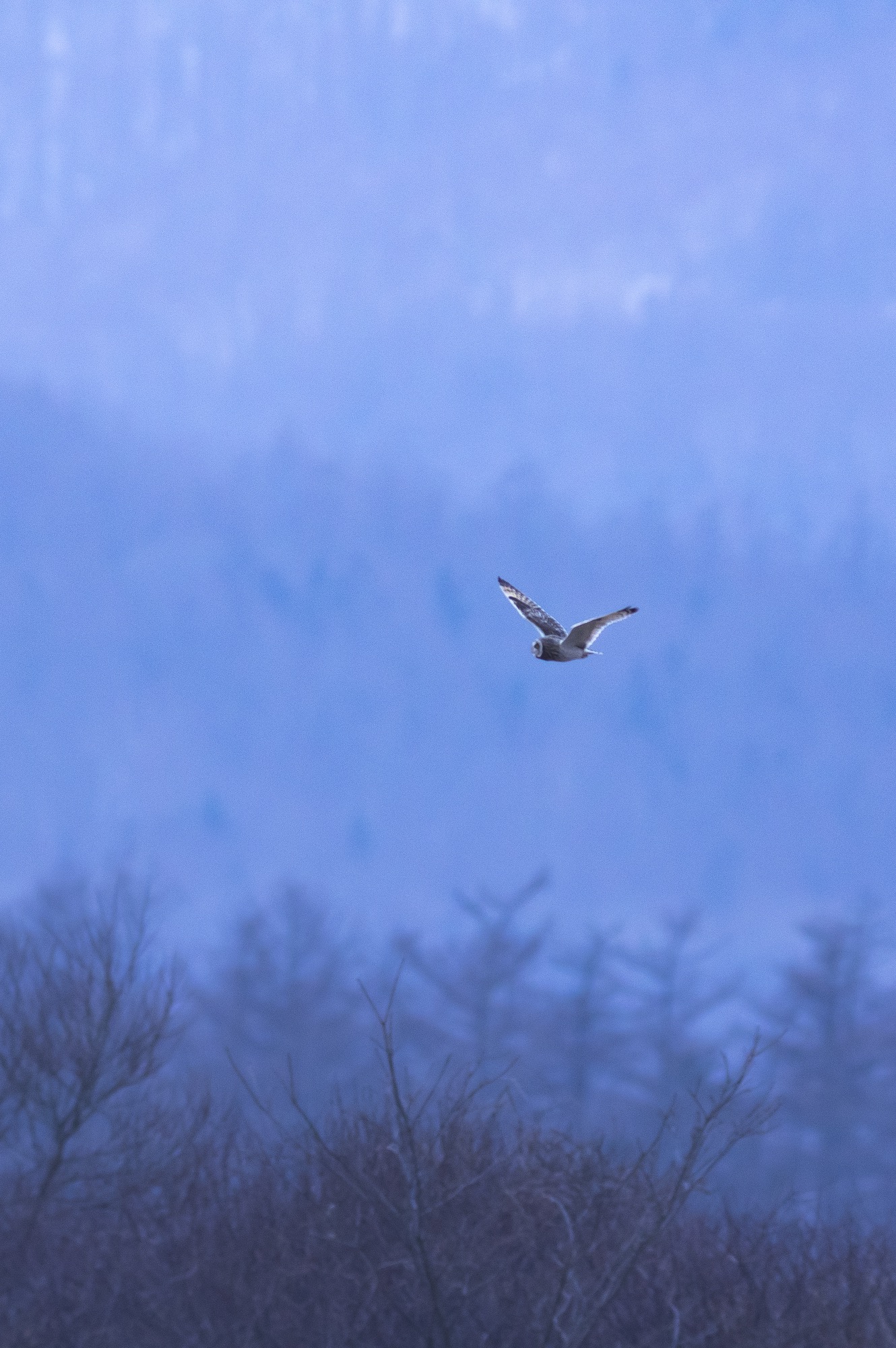 20180225長野 - 3
