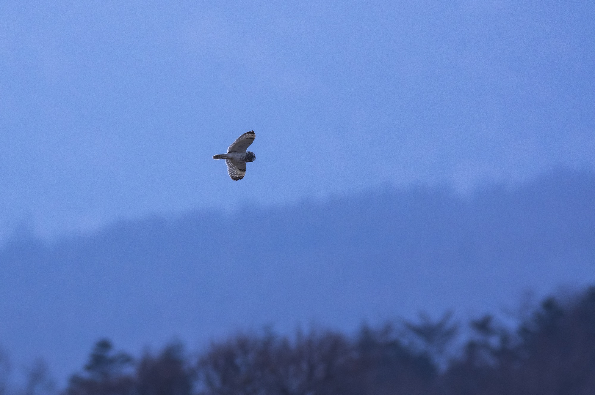 20180225長野 - 4