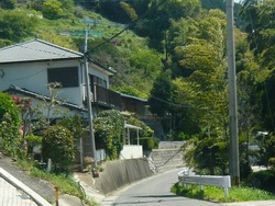 大山01-2