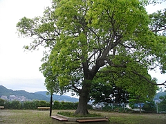 どんの山公園02