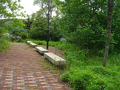 どんの山公園02-2