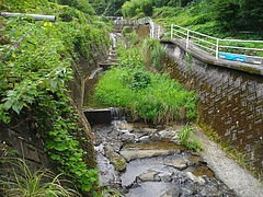 三川町02-2