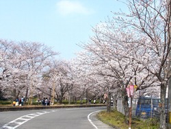 大村公園01-3