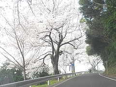 和三郎公園04-2