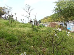 稲佐山02-3