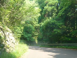 唐八景公園01-3