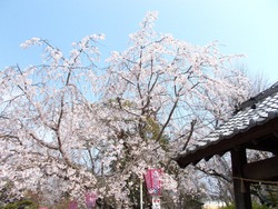 大村公園01-6-2