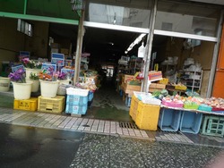 長与02-3