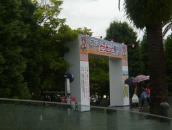 0825-06