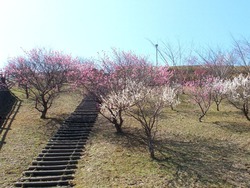 宮崎ダム02