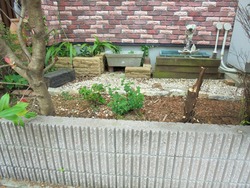 庭01-9