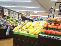 多良見町01-7