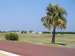 伊王島01