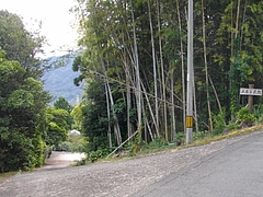 松原上床03-2