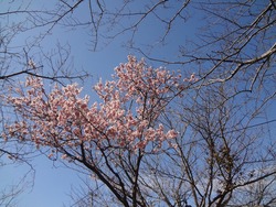 大村公園01
