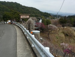 虎馬園02
