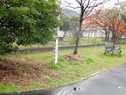 淵町02-3