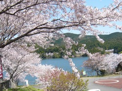 伊佐ノ浦公園02-10