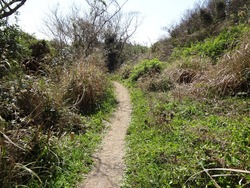 四郎ガ島01-3