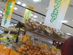 夢彩都01