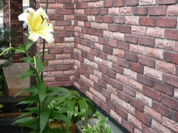 7月01-3