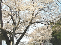 和三郎公園03-4