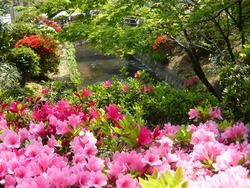 諫早公園02-4