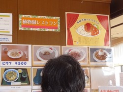 亜熱帯植物園04-7