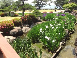 大村公園02-2