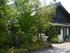 西ノ原04