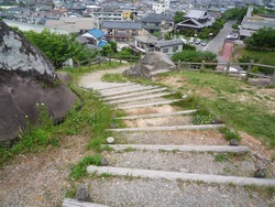 文化の森01-5