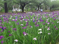 大村公園01-4