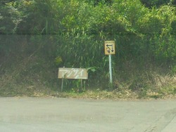 松里町あじさい園01-5