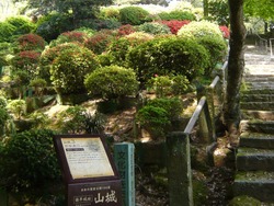 諫早公園02-2