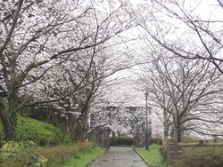 西山ダム02-2