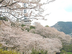 中尾城03-2