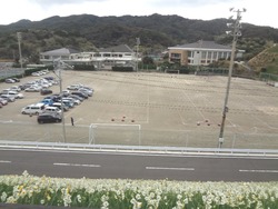 水仙まつり01-5