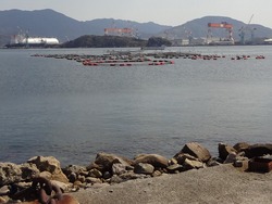 四郎ガ島02