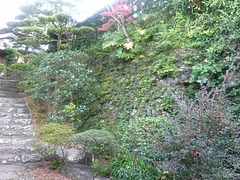 心田菴02-2