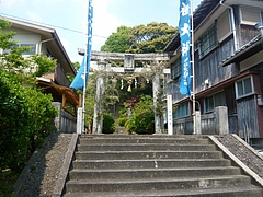 はまぜん07