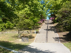 稲佐山03-3