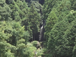 河川公園02-2