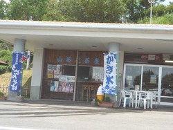 山茶花高原01-3