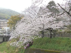 経済学部01