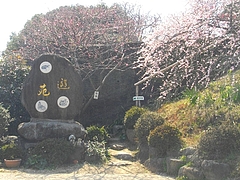 虎馬園02-2
