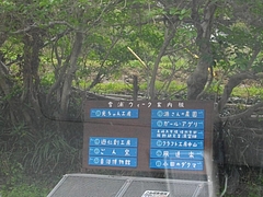 雪の浦03