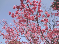 神代03-5
