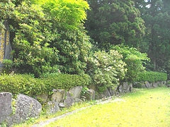 萱瀬付近02-3