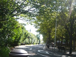 茂里町01