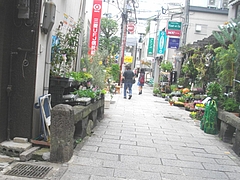 浜町01-3